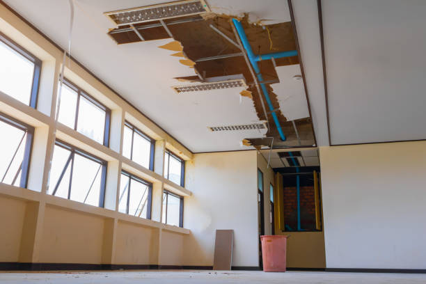 Best Flood restoration services  in Taft Southwest, TX