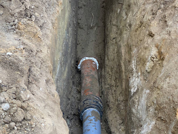 Best Local water damage restoration  in Taft Southwest, TX