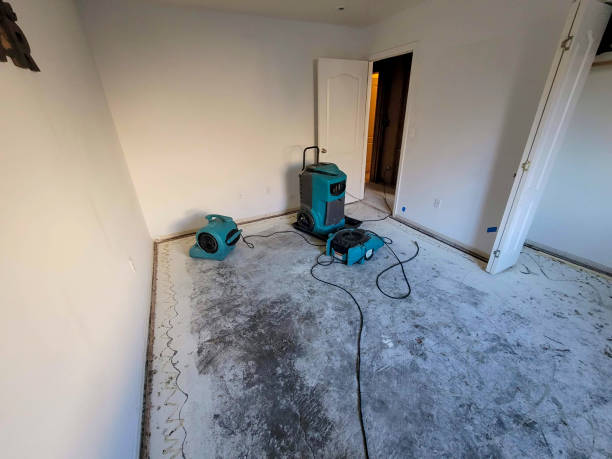 Best Water damage restoration services  in Taft Southwest, TX