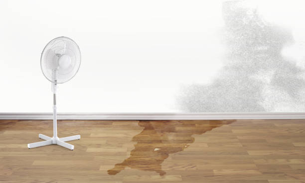 Best Water damage contractors near me  in Taft Southwest, TX