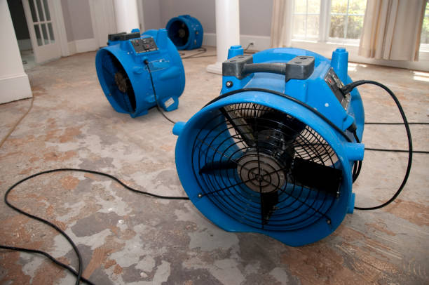 Best Local water damage restoration  in Taft Southwest, TX