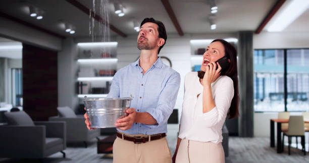 Best Mold removal after water damage  in Taft Southwest, TX